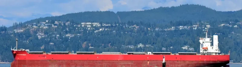 FAR EASTERN MERCURY Bulk Carrier IMO 9442770 photo 2