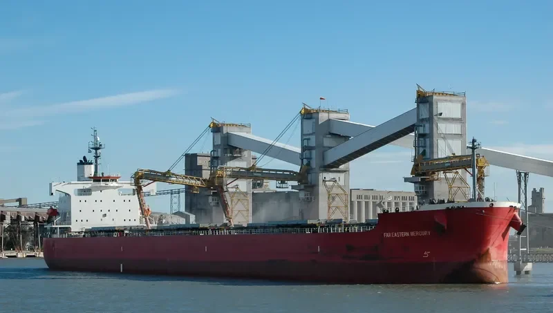FAR EASTERN MERCURY Bulk Carrier IMO 9442770 photo 6