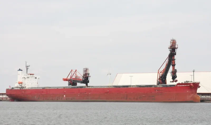 FAR EASTERN MERCURY Bulk Carrier IMO 9442770 photo 7