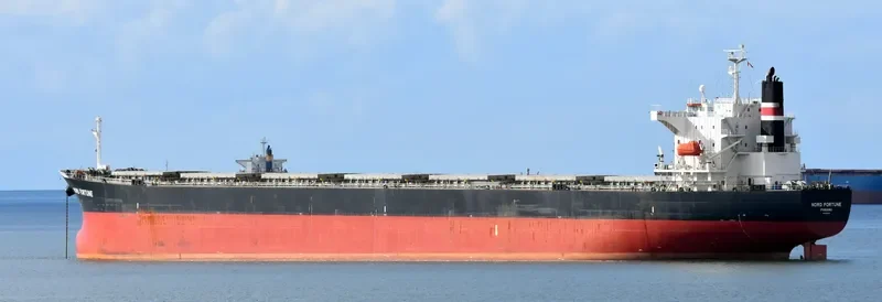 NORD FORTUNE Bulk Carrier IMO 9442926 photo 7
