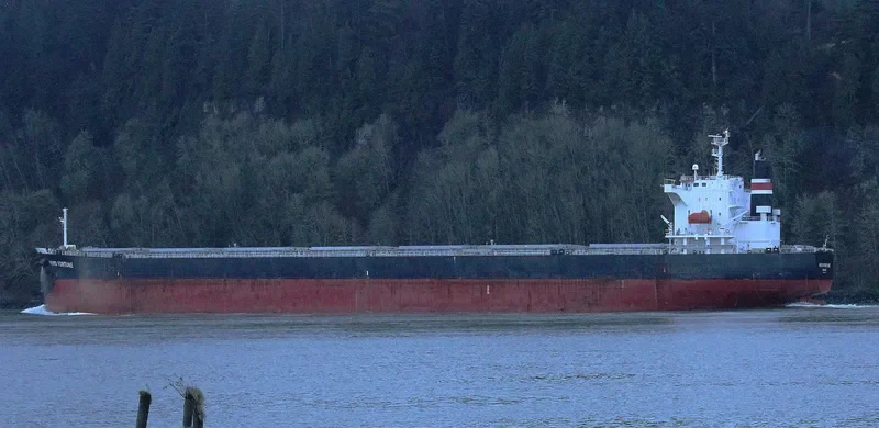 NORD FORTUNE Bulk Carrier IMO 9442926 photo 8