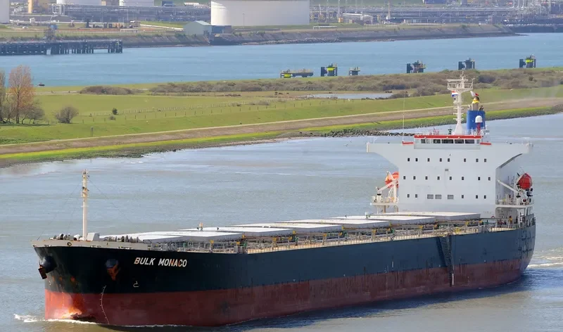 OINOUSSIAN VIRTUE Bulk Carrier IMO 9442938
