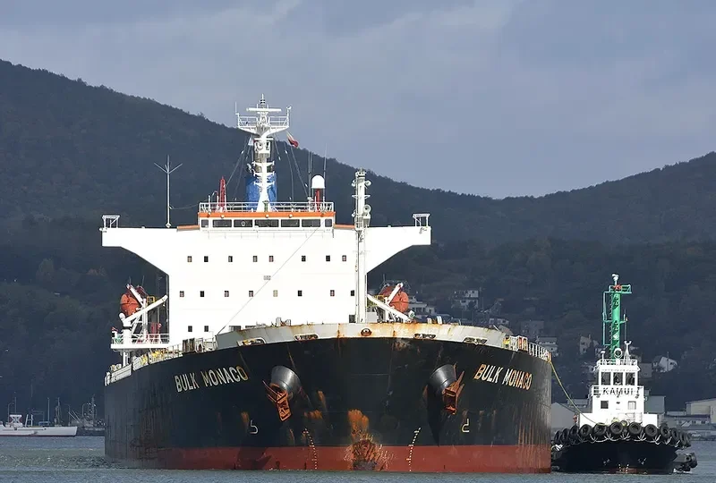 OINOUSSIAN VIRTUE Bulk Carrier IMO 9442938 photo 2