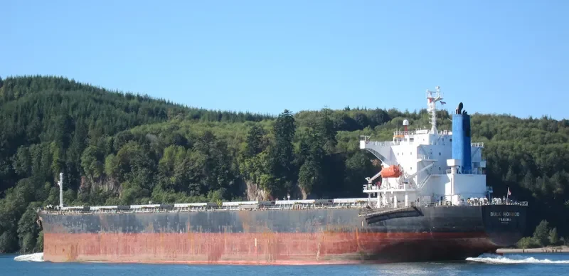 OINOUSSIAN VIRTUE Bulk Carrier IMO 9442938 photo 3
