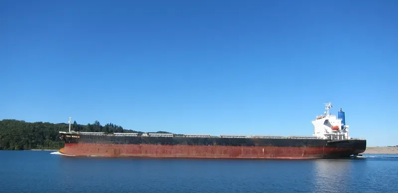 OINOUSSIAN VIRTUE Bulk Carrier IMO 9442938 photo 4