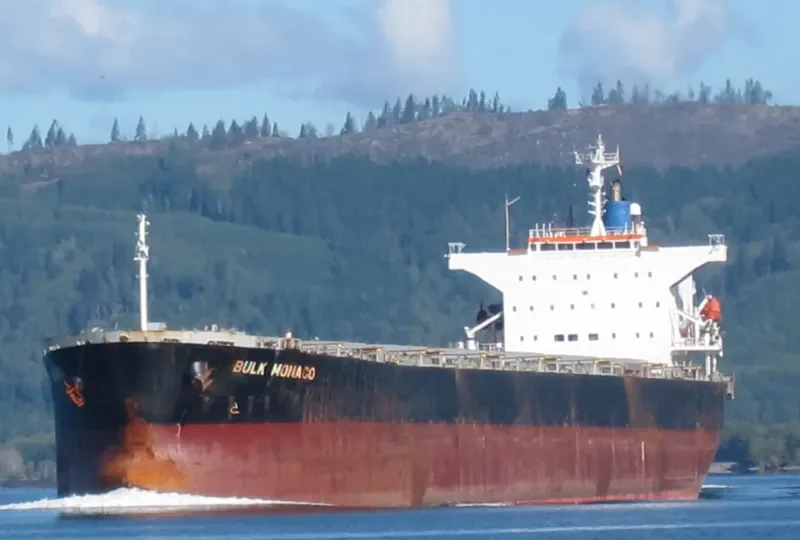 OINOUSSIAN VIRTUE Bulk Carrier IMO 9442938 photo 5