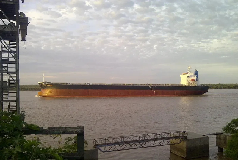 OINOUSSIAN VIRTUE Bulk Carrier IMO 9442938 photo 6