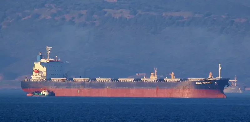 OINOUSSIAN VIRTUE Bulk Carrier IMO 9442938 photo 7