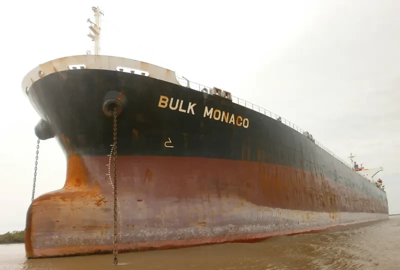 OINOUSSIAN VIRTUE Bulk Carrier IMO 9442938 photo 8