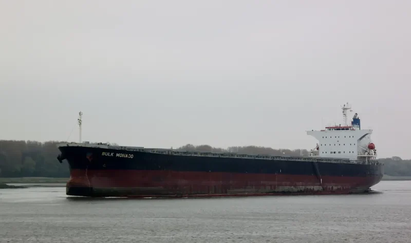 OINOUSSIAN VIRTUE Bulk Carrier IMO 9442938 photo 9