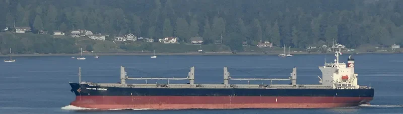 JAL KUMUD Bulk Carrier IMO 9442990 photo 2