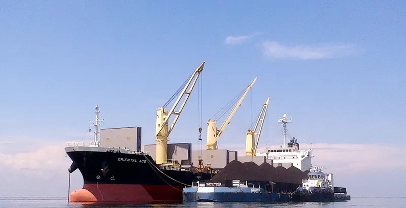 ORIENTAL ACE Bulk Carrier IMO 9443114