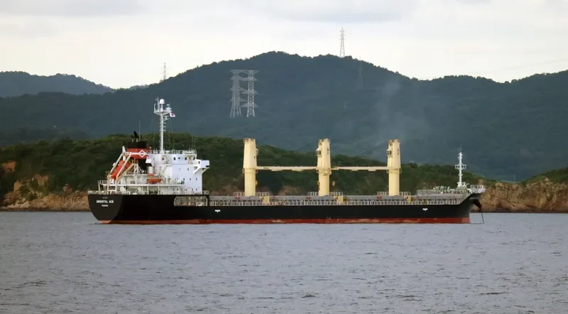 ORIENTAL ACE Bulk Carrier IMO 9443114 photo 3