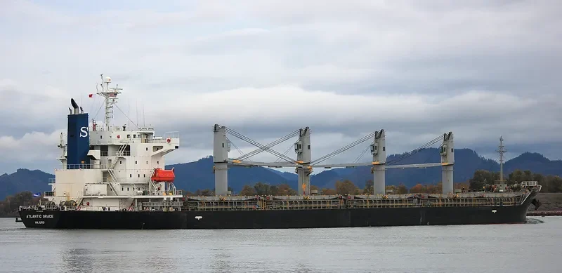 LUNARA Bulk Carrier IMO 9443126 photo 5