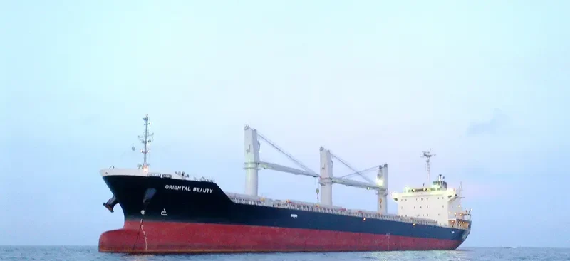 ORIENTAL BEAUTY Bulk Carrier IMO 9443138 photo 2