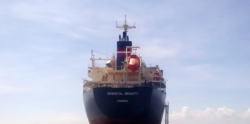 ORIENTAL BEAUTY Bulk Carrier IMO 9443138 photo 3