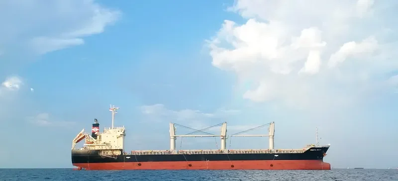 ORIENTAL BEAUTY Bulk Carrier IMO 9443138 photo 4