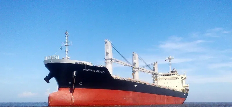 ORIENTAL BEAUTY Bulk Carrier IMO 9443138 photo 5