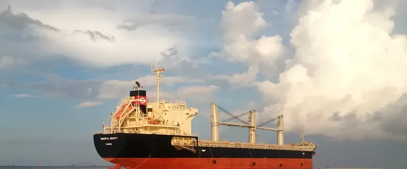 ORIENTAL BEAUTY Bulk Carrier IMO 9443138 photo 7