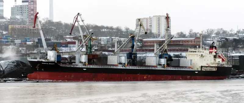 ORIENTAL BEAUTY Bulk Carrier IMO 9443138 photo 9