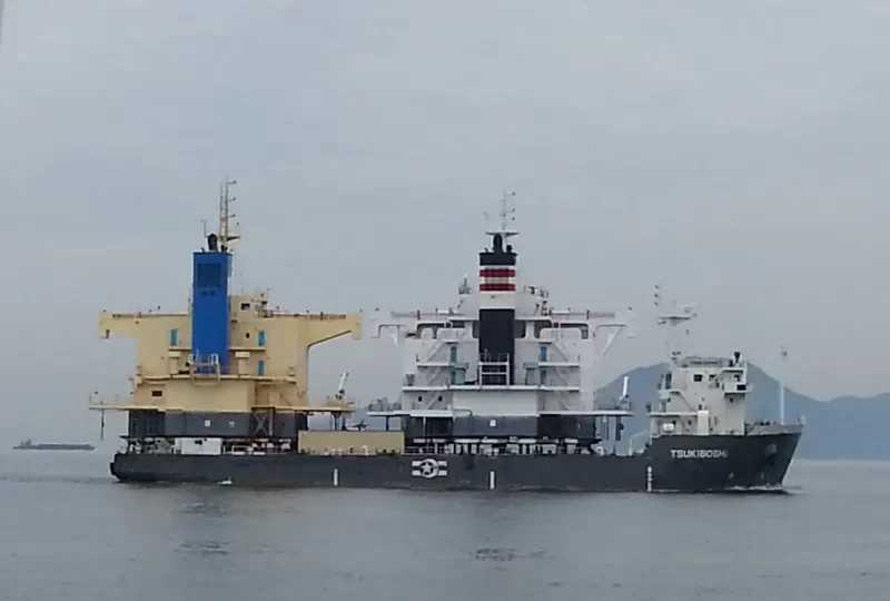 NEW DRAGON General Cargo IMO 9443217 photo 9