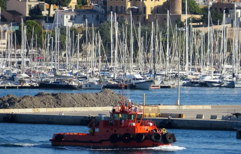R SOFIA General Cargo IMO 9443279 photo 3