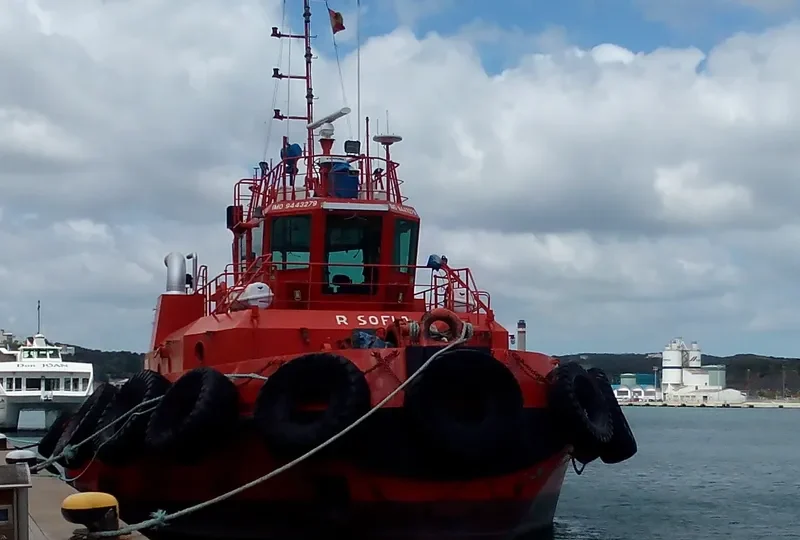 R SOFIA General Cargo IMO 9443279 photo 5