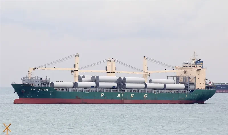 PAC SEGINUS Container Ship IMO 9443358 photo 3