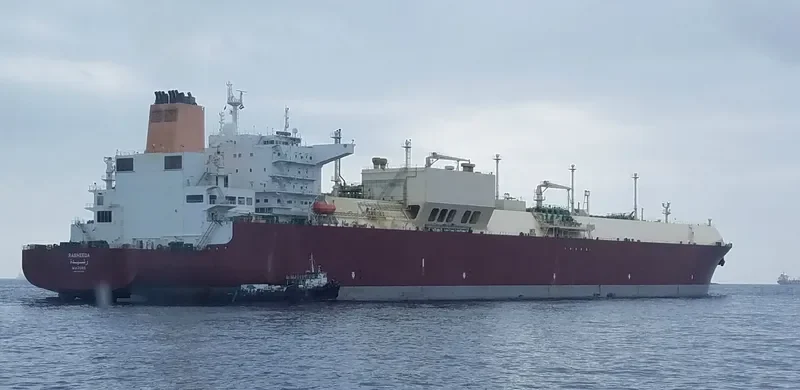 RASHEEDA General Cargo IMO 9443413 photo 2