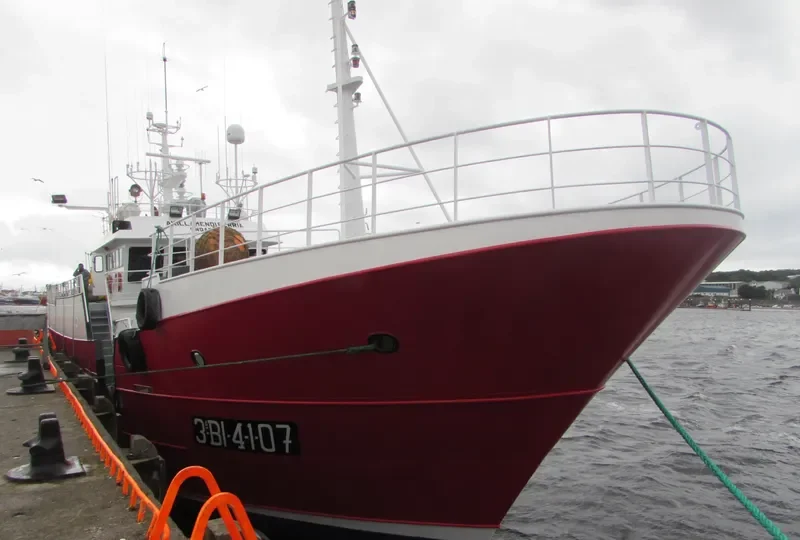 AKILLAMENDI BERRIA General Cargo IMO 9443449 photo 2