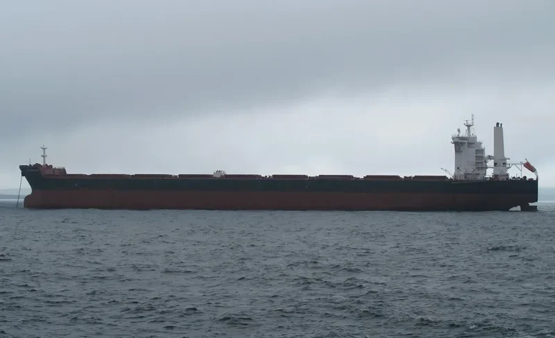 BELGRAVIA Bulk Carrier IMO 9443592 photo 2