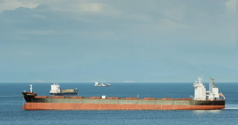 BELGRAVIA Bulk Carrier IMO 9443592 photo 5