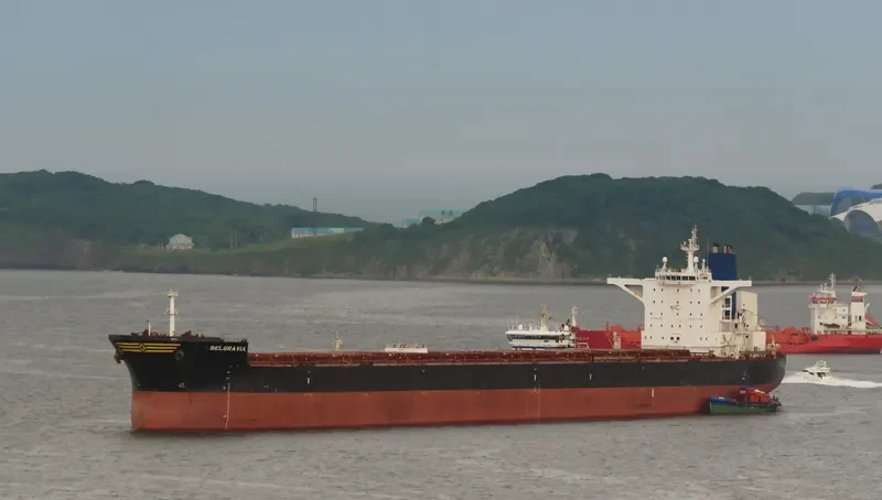 BELGRAVIA Bulk Carrier IMO 9443592 photo 7