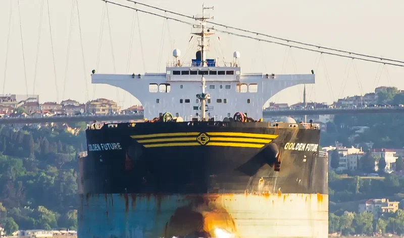 GOLDEN FUTURE Bulk Carrier IMO 9443607 photo 2