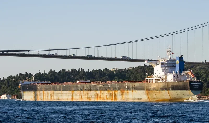 GOLDEN FUTURE Bulk Carrier IMO 9443607 photo 5