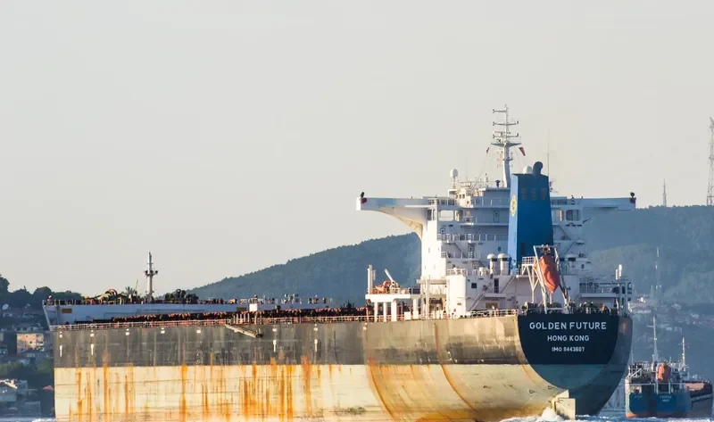 GOLDEN FUTURE Bulk Carrier IMO 9443607 photo 6