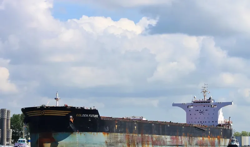 GOLDEN FUTURE Bulk Carrier IMO 9443607 photo 8