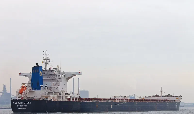 GOLDEN FUTURE Bulk Carrier IMO 9443607 photo 10