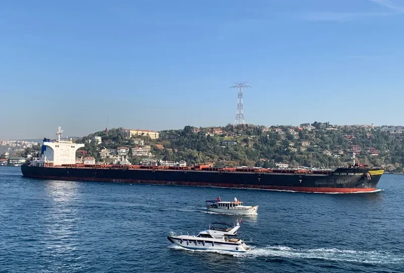 GOLDEN ZHEJIANG Bulk Carrier IMO 9443619 photo 7