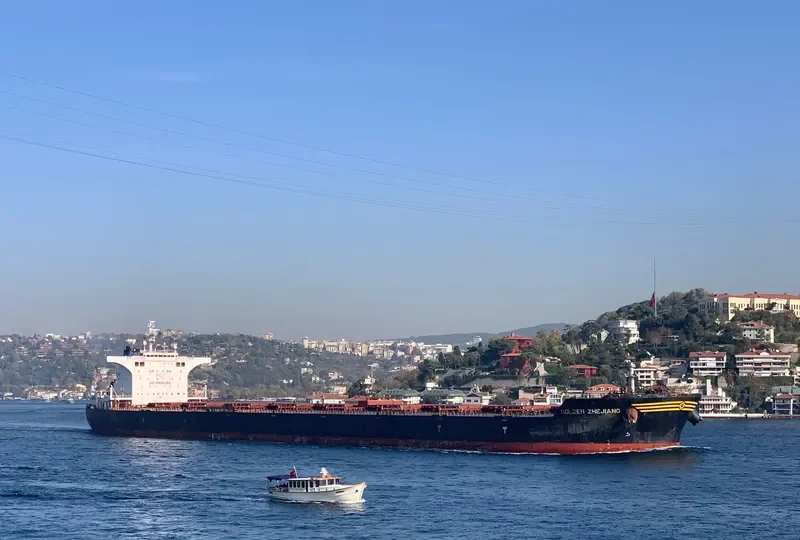 GOLDEN ZHEJIANG Bulk Carrier IMO 9443619 photo 8
