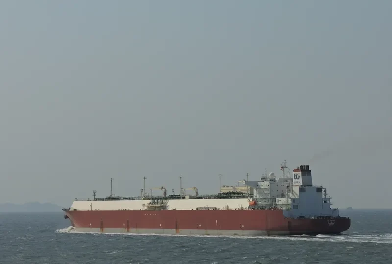 AL DAFNA General Cargo IMO 9443683 photo 4