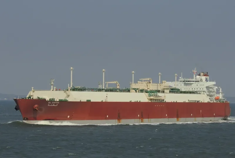 AL DAFNA General Cargo IMO 9443683 photo 6