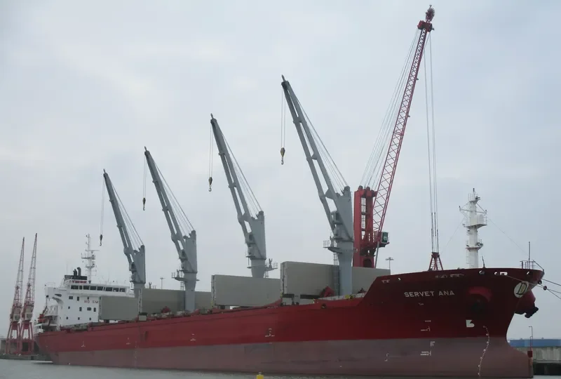 SERVET ANA Bulk Carrier IMO 9443774