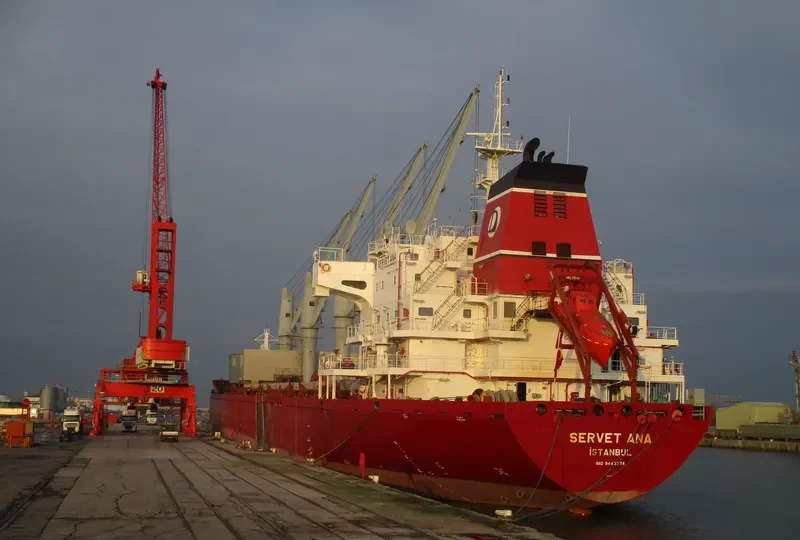 SERVET ANA Bulk Carrier IMO 9443774 photo 2