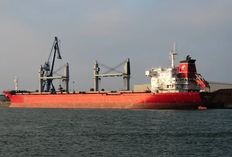 SERVET ANA Bulk Carrier IMO 9443774 photo 4