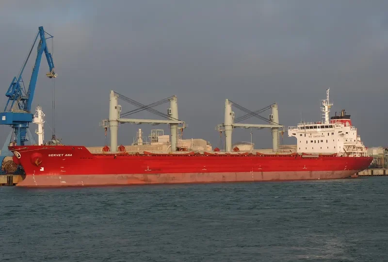 SERVET ANA Bulk Carrier IMO 9443774 photo 5