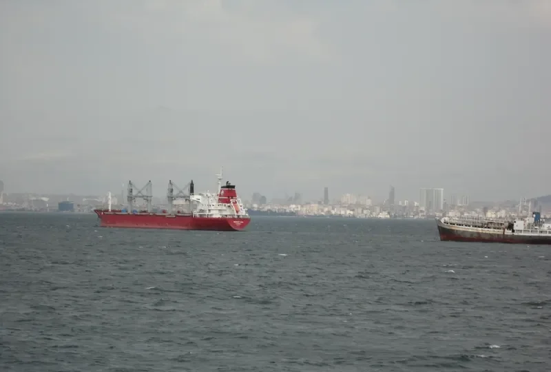 SERVET ANA Bulk Carrier IMO 9443774 photo 6