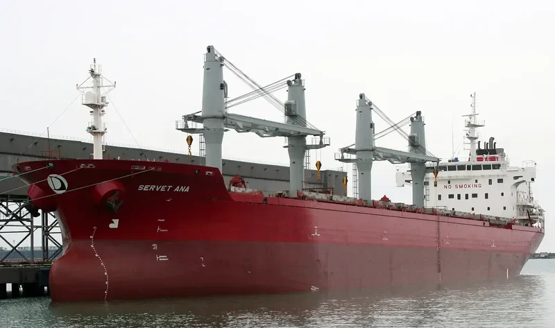 SERVET ANA Bulk Carrier IMO 9443774 photo 7
