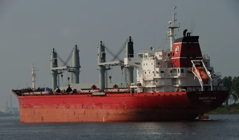 SERVET ANA Bulk Carrier IMO 9443774 photo 8