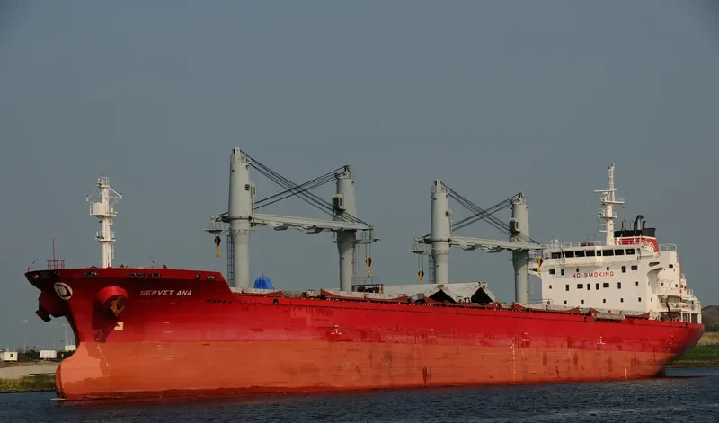 SERVET ANA Bulk Carrier IMO 9443774 photo 9
